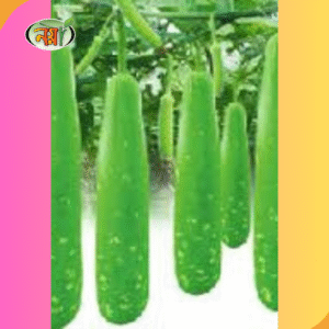 লাউ বীজ